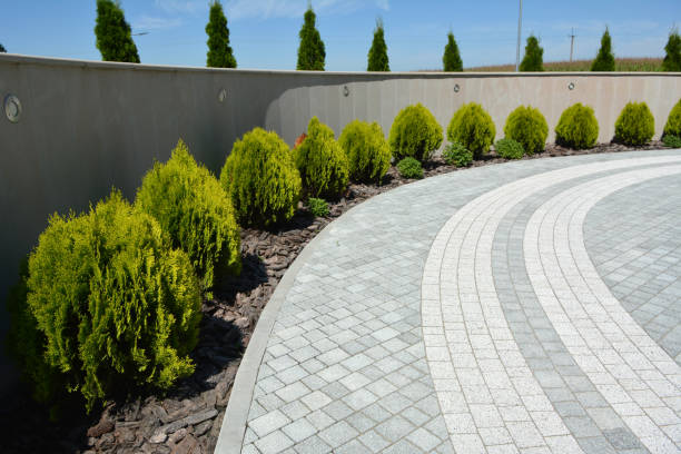 Best Cobblestone Driveway Pavers  in Meadow Glade, WA